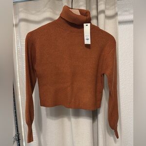 Francesca’s Turtleneck Cropped Sweater